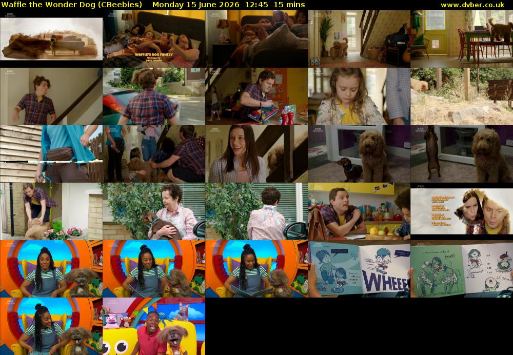 Waffle the Wonder Dog (CBeebies) Monday 15 June 2026 12:45 - 13:00