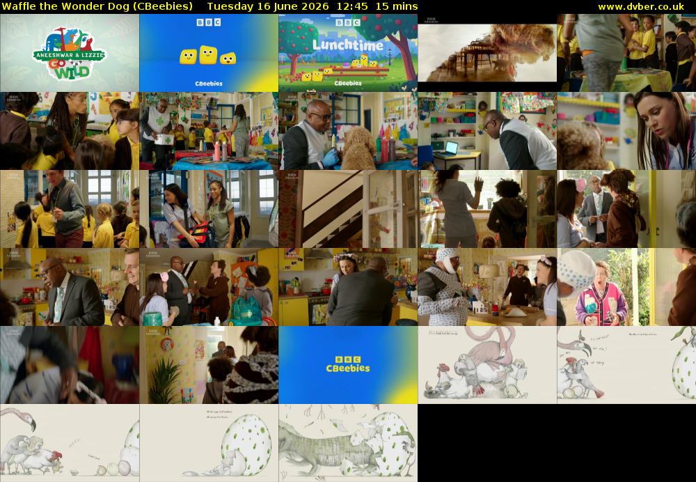 Waffle the Wonder Dog (CBeebies) Tuesday 16 June 2026 12:45 - 13:00