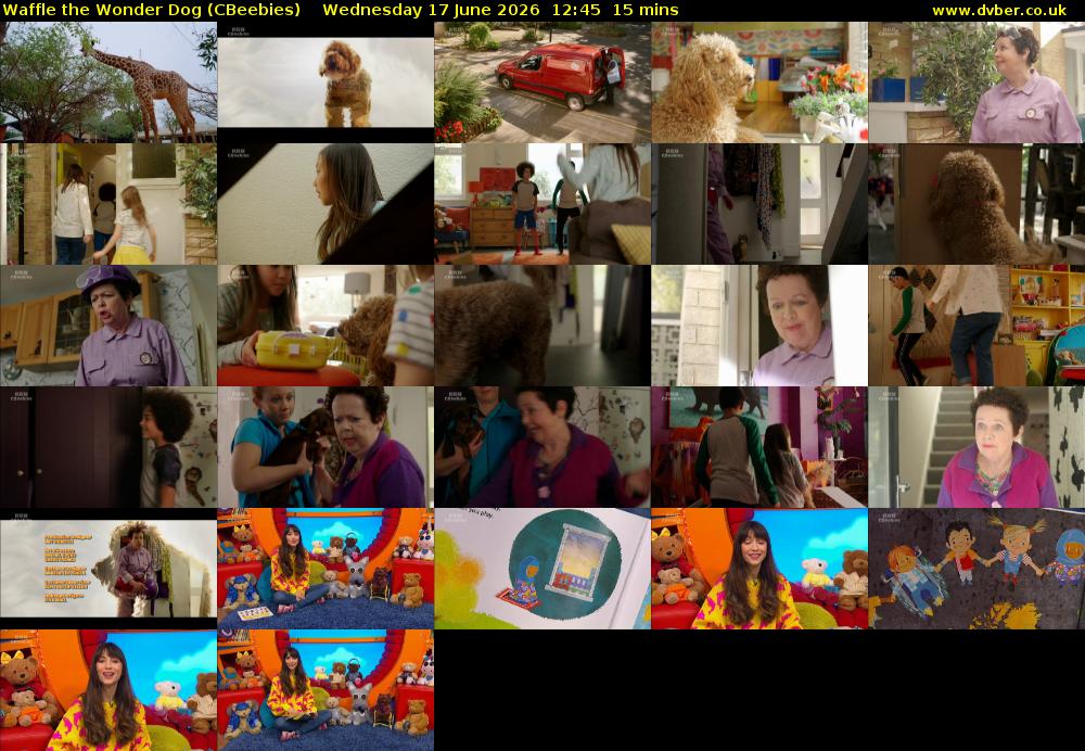Waffle the Wonder Dog (CBeebies) Wednesday 17 June 2026 12:45 - 13:00