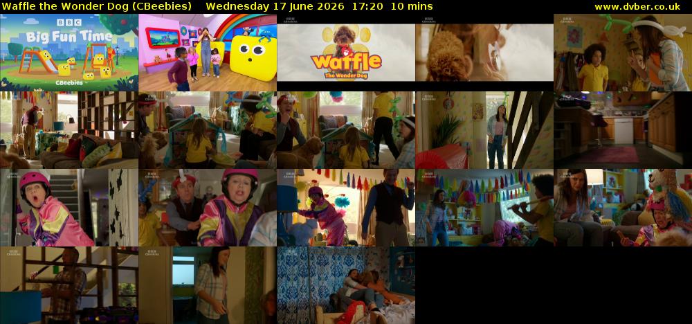 Waffle the Wonder Dog (CBeebies) Wednesday 17 June 2026 17:20 - 17:30