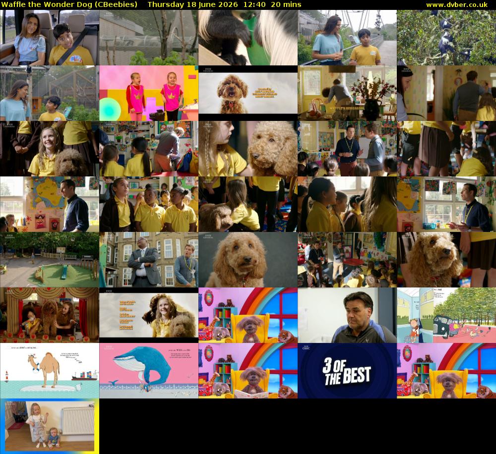 Waffle the Wonder Dog (CBeebies) Thursday 18 June 2026 12:40 - 13:00