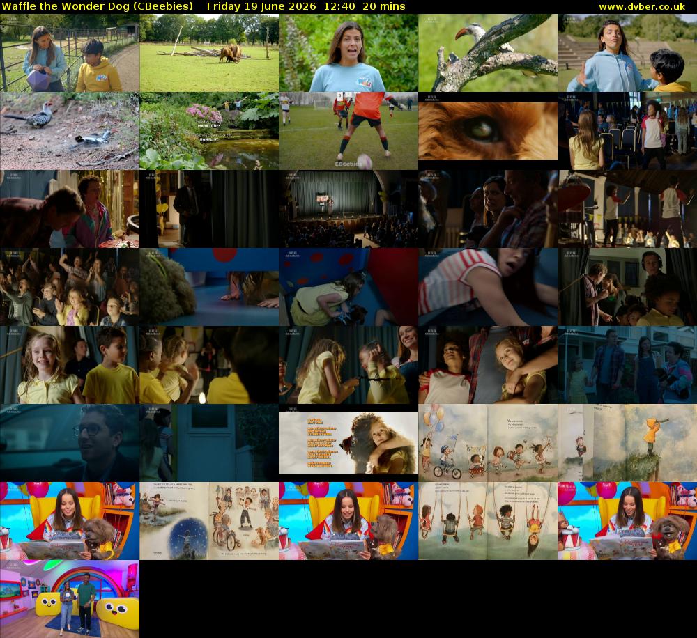 Waffle the Wonder Dog (CBeebies) Friday 19 June 2026 12:40 - 13:00