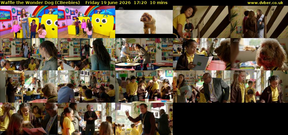 Waffle the Wonder Dog (CBeebies) Friday 19 June 2026 17:20 - 17:30