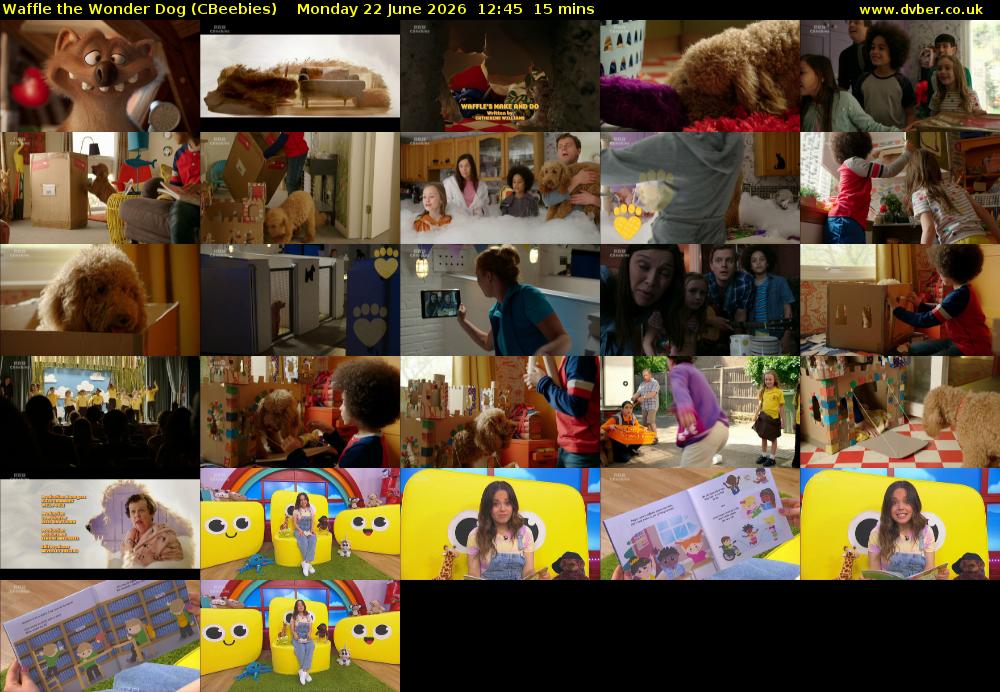 Waffle the Wonder Dog (CBeebies) Monday 22 June 2026 12:45 - 13:00