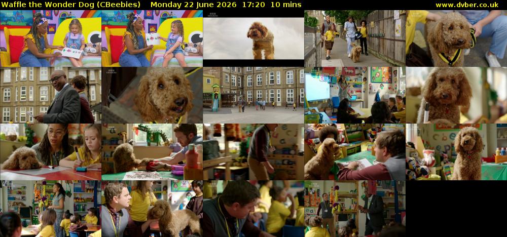 Waffle the Wonder Dog (CBeebies) Monday 22 June 2026 17:20 - 17:30