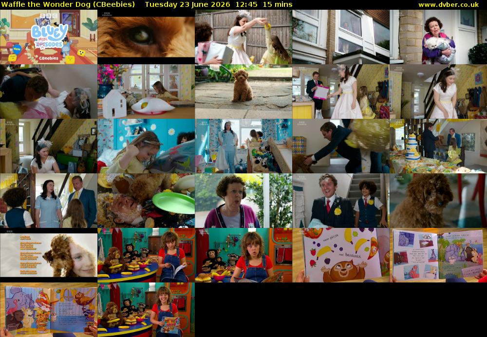 Waffle the Wonder Dog (CBeebies) Tuesday 23 June 2026 12:45 - 13:00