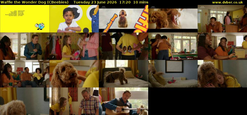 Waffle the Wonder Dog (CBeebies) Tuesday 23 June 2026 17:20 - 17:30