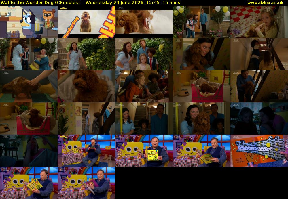 Waffle the Wonder Dog (CBeebies) Wednesday 24 June 2026 12:45 - 13:00