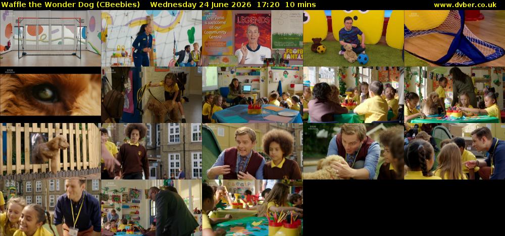 Waffle the Wonder Dog (CBeebies) Wednesday 24 June 2026 17:20 - 17:30