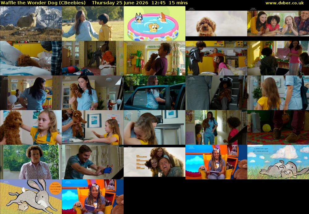 Waffle the Wonder Dog (CBeebies) Thursday 25 June 2026 12:45 - 13:00