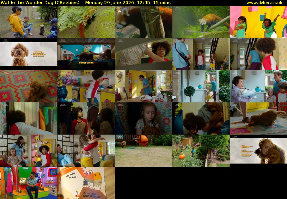 Waffle the Wonder Dog (CBeebies) Monday 29 June 2026 12:45 - 13:00