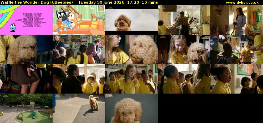 Waffle the Wonder Dog (CBeebies) Tuesday 30 June 2026 17:20 - 17:30