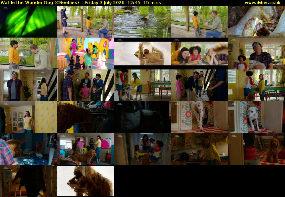 Waffle the Wonder Dog (CBeebies) Friday 3 July 2026 12:45 - 13:00