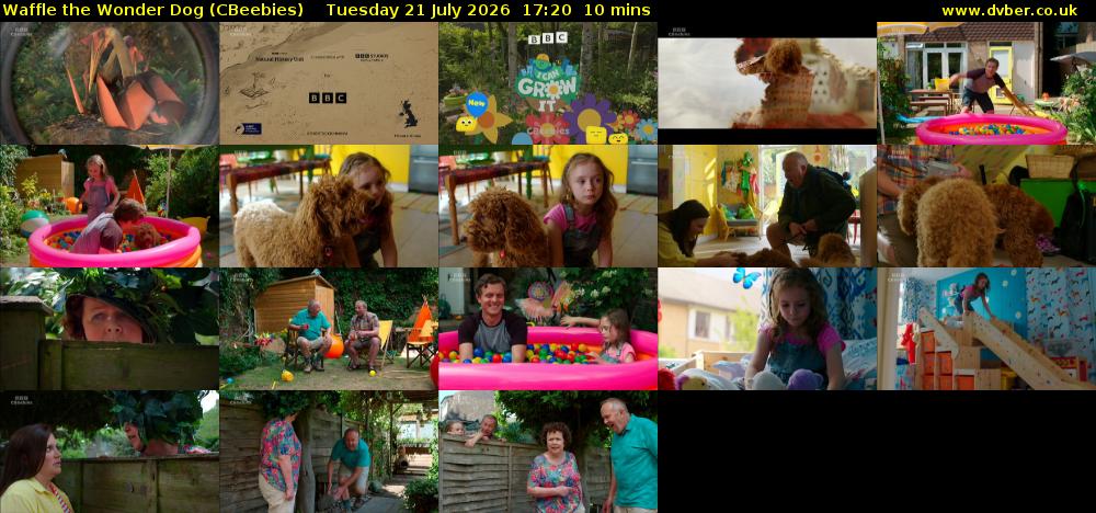 Waffle the Wonder Dog (CBeebies) Tuesday 21 July 2026 17:20 - 17:30
