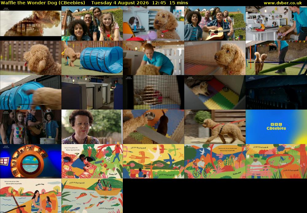 Waffle the Wonder Dog (CBeebies) Tuesday 4 August 2026 12:45 - 13:00