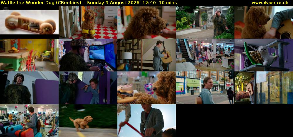 Waffle the Wonder Dog (CBeebies) Sunday 9 August 2026 12:40 - 12:50