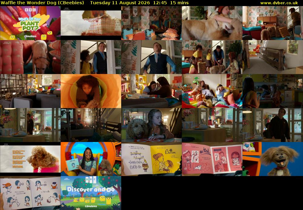 Waffle the Wonder Dog (CBeebies) Tuesday 11 August 2026 12:45 - 13:00