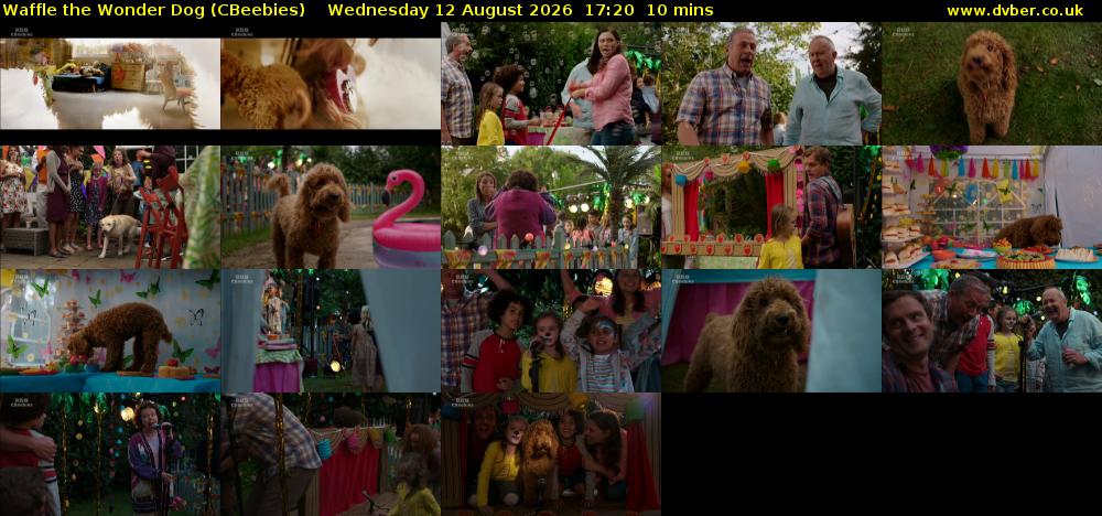 Waffle the Wonder Dog (CBeebies) Wednesday 12 August 2026 17:20 - 17:30