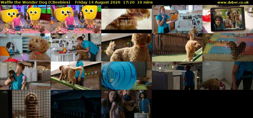 Waffle the Wonder Dog (CBeebies) Friday 14 August 2026 17:20 - 17:30