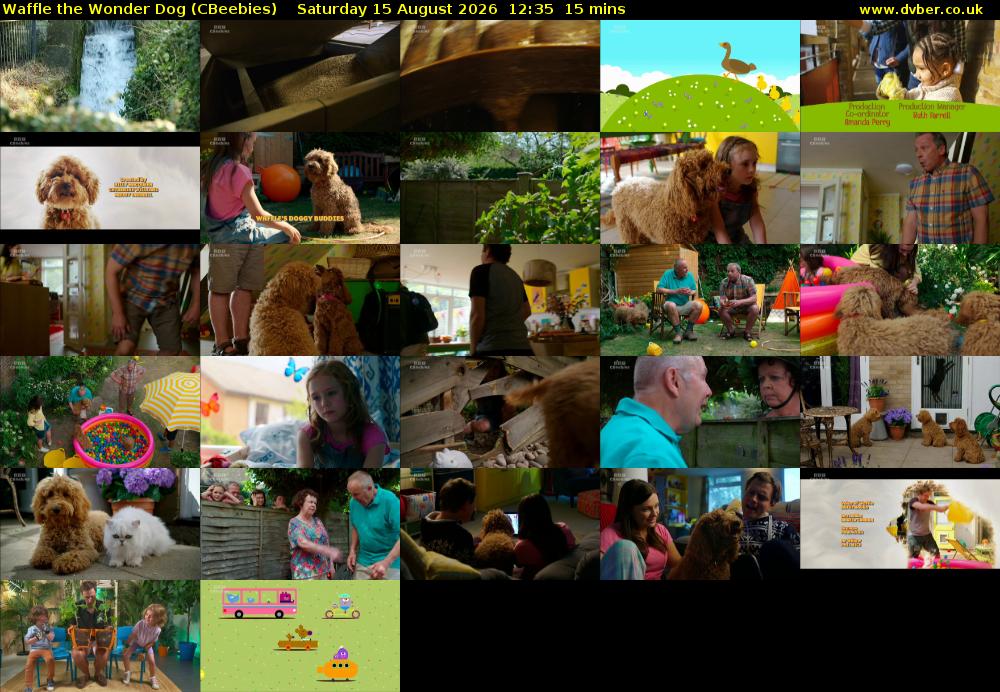 Waffle the Wonder Dog (CBeebies) Saturday 15 August 2026 12:35 - 12:50