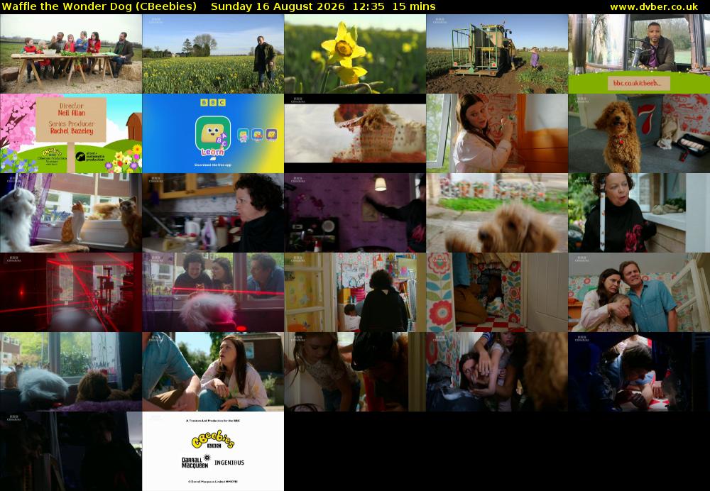 Waffle the Wonder Dog (CBeebies) Sunday 16 August 2026 12:35 - 12:50