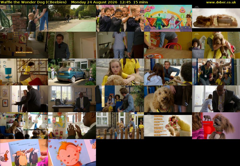 Waffle the Wonder Dog (CBeebies) Monday 24 August 2026 12:45 - 13:00