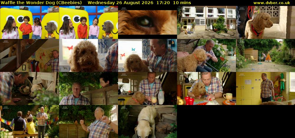 Waffle the Wonder Dog (CBeebies) Wednesday 26 August 2026 17:20 - 17:30