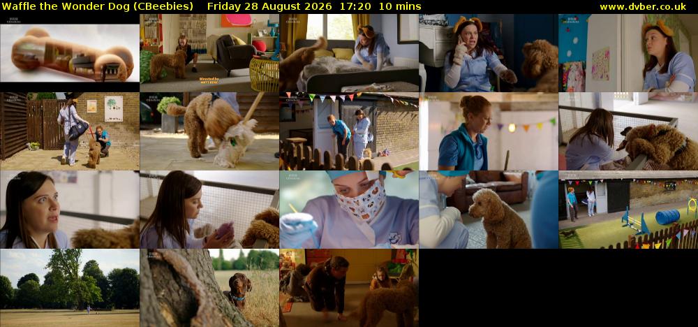 Waffle the Wonder Dog (CBeebies) Friday 28 August 2026 17:20 - 17:30