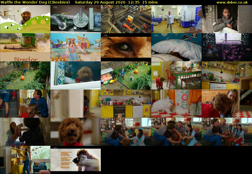 Waffle the Wonder Dog (CBeebies) Saturday 29 August 2026 12:35 - 12:50