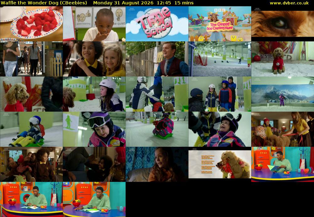 Waffle the Wonder Dog (CBeebies) Monday 31 August 2026 12:45 - 13:00