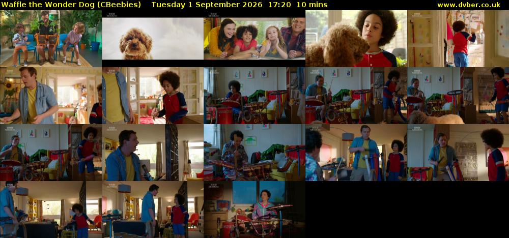 Waffle the Wonder Dog (CBeebies) Tuesday 1 September 2026 17:20 - 17:30