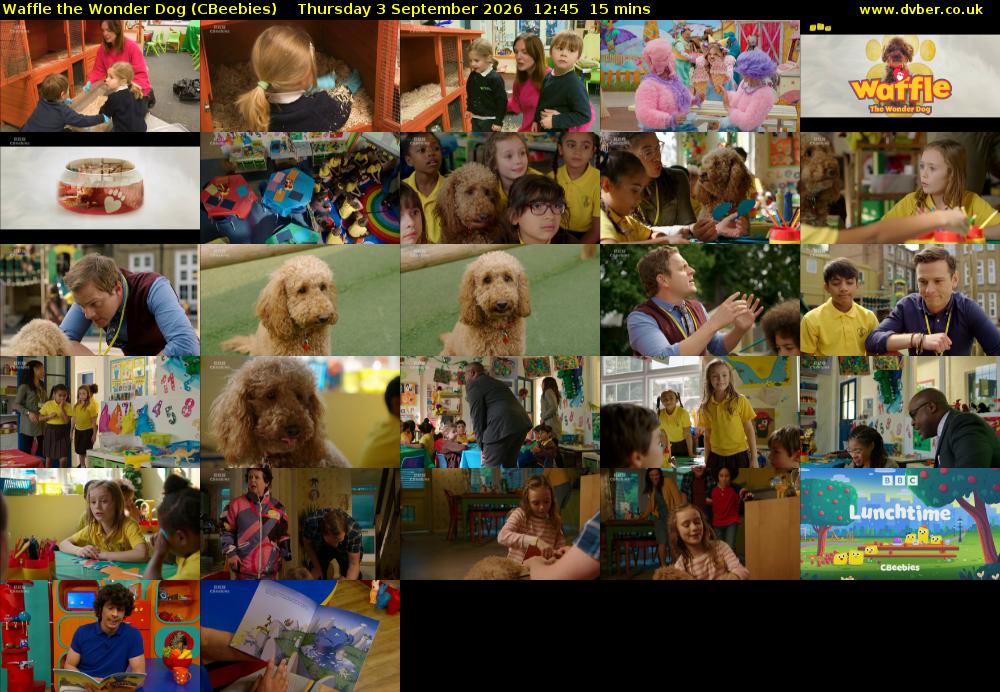 Waffle the Wonder Dog (CBeebies) Thursday 3 September 2026 12:45 - 13:00