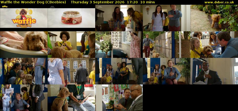 Waffle the Wonder Dog (CBeebies) Thursday 3 September 2026 17:20 - 17:30