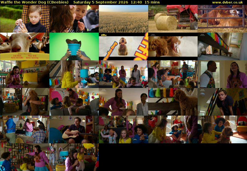 Waffle the Wonder Dog (CBeebies) Saturday 5 September 2026 12:40 - 12:55
