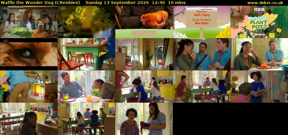 Waffle the Wonder Dog (CBeebies) Sunday 13 September 2026 12:40 - 12:50