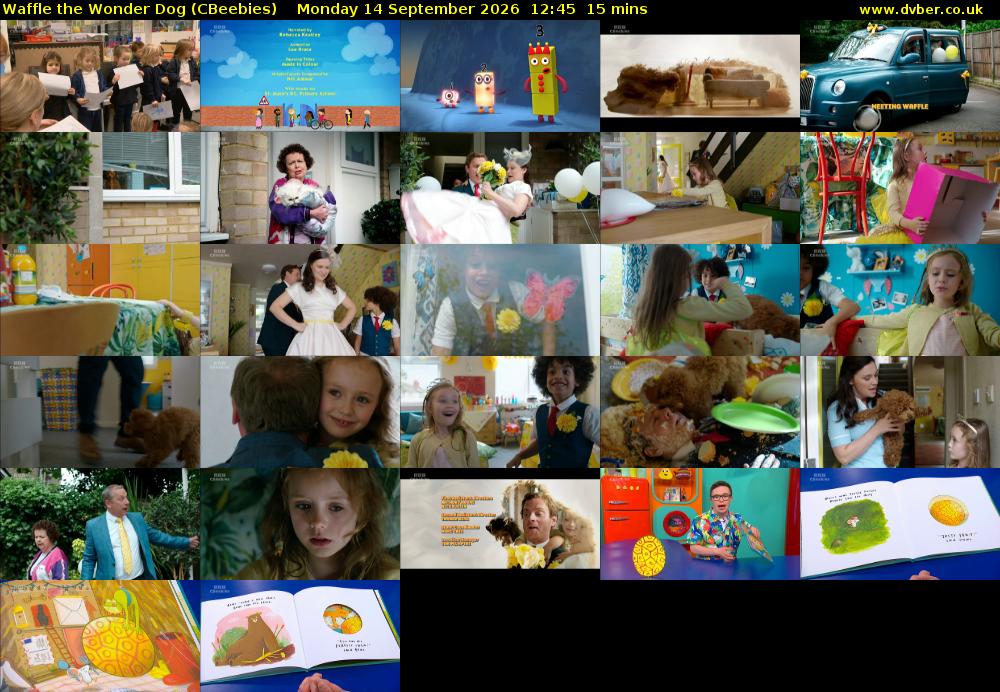 Waffle the Wonder Dog (CBeebies) Monday 14 September 2026 12:45 - 13:00