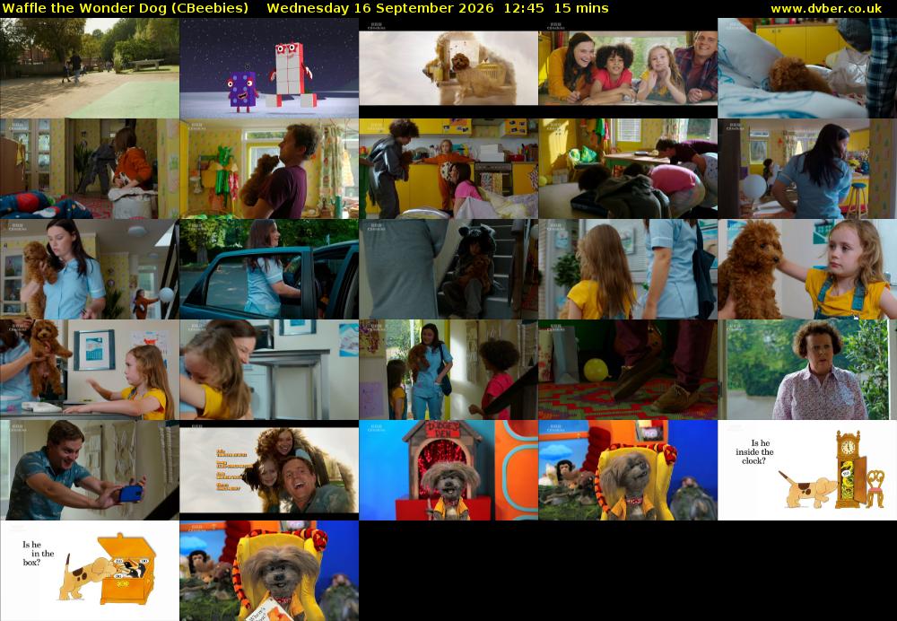 Waffle the Wonder Dog (CBeebies) Wednesday 16 September 2026 12:45 - 13:00