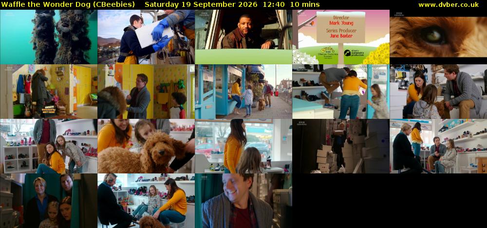 Waffle the Wonder Dog (CBeebies) Saturday 19 September 2026 12:40 - 12:50