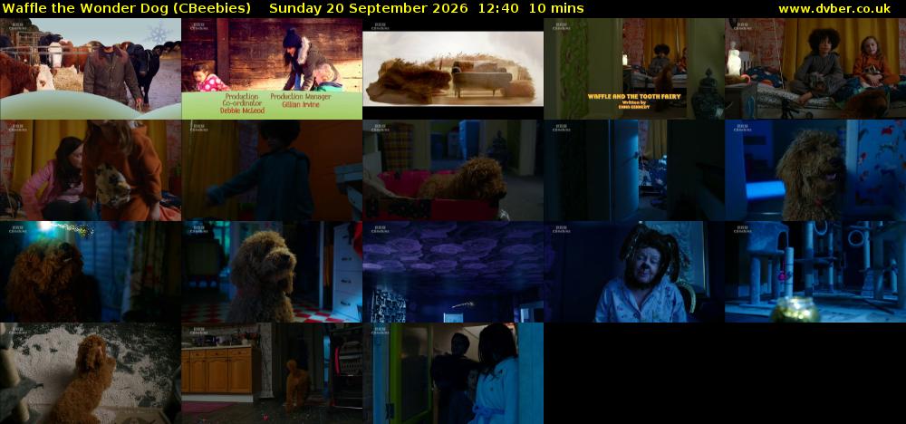 Waffle the Wonder Dog (CBeebies) Sunday 20 September 2026 12:40 - 12:50