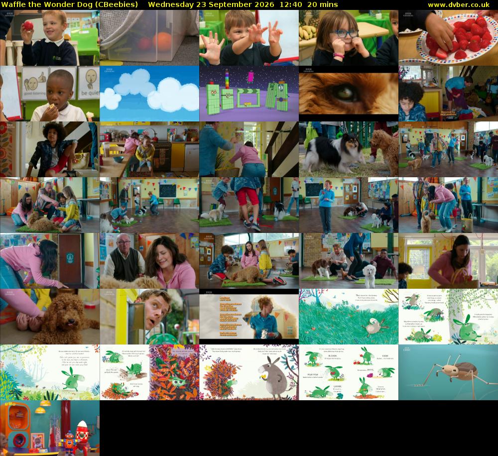 Waffle the Wonder Dog (CBeebies) Wednesday 23 September 2026 12:40 - 13:00