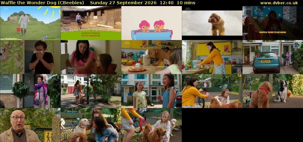 Waffle the Wonder Dog (CBeebies) Sunday 27 September 2026 12:40 - 12:50