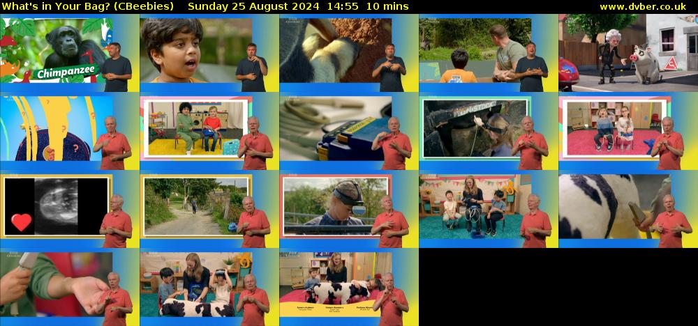 What's in Your Bag? (CBeebies) Sunday 25 August 2024 14:55 - 15:05