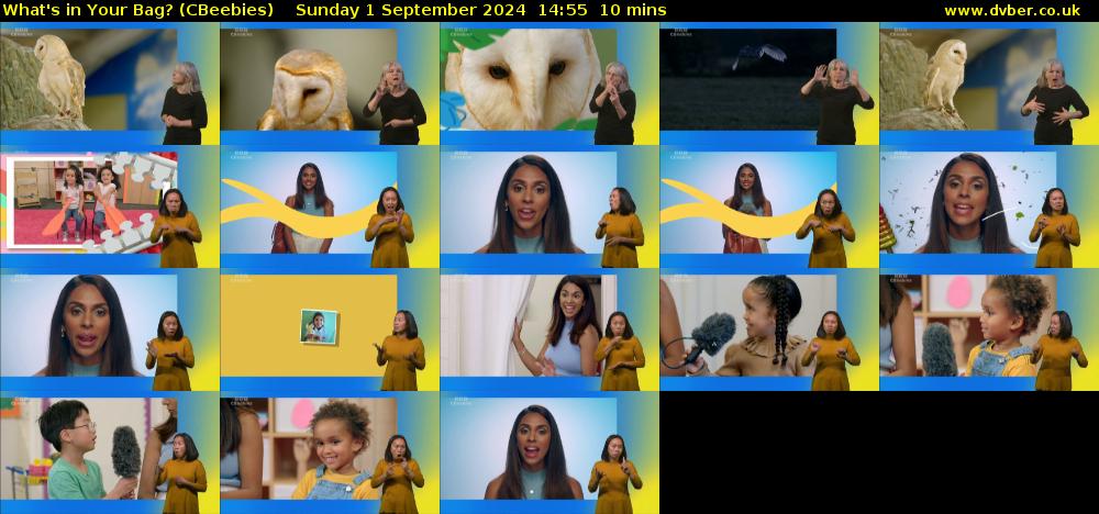 What's in Your Bag? (CBeebies) Sunday 1 September 2024 14:55 - 15:05