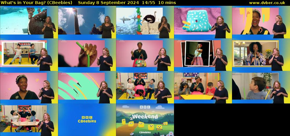 What's in Your Bag? (CBeebies) Sunday 8 September 2024 14:55 - 15:05