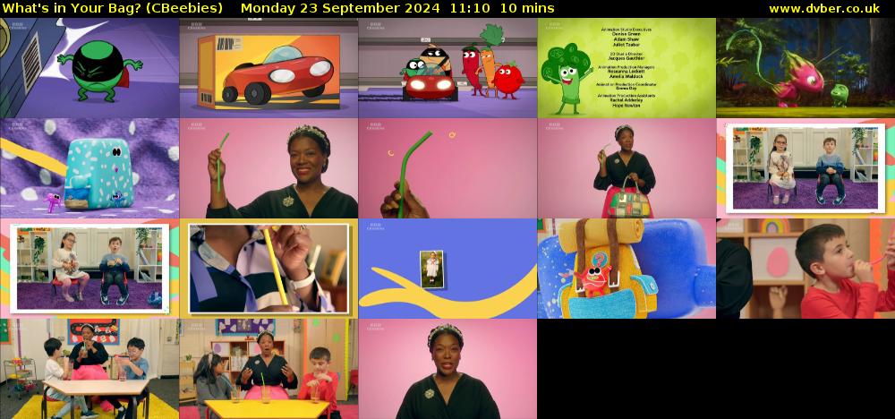 What's in Your Bag? (CBeebies) Monday 23 September 2024 11:10 - 11:20