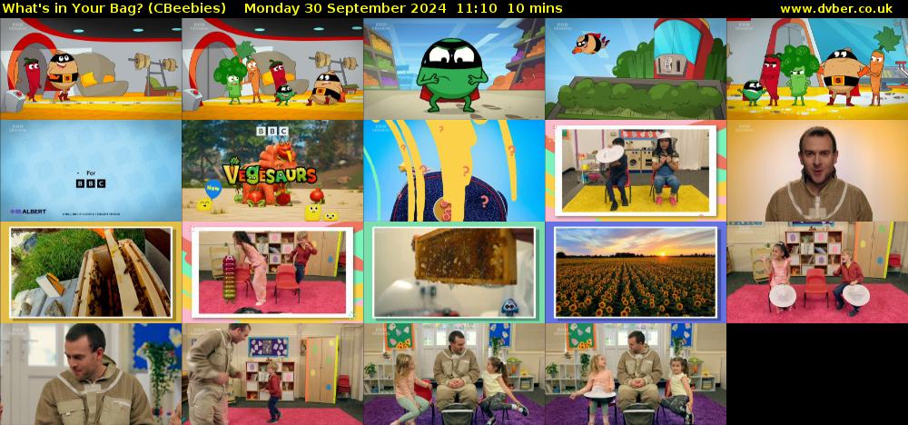 What's in Your Bag? (CBeebies) Monday 30 September 2024 11:10 - 11:20