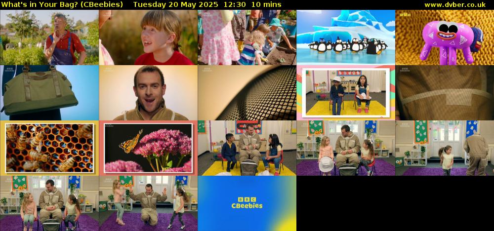 What's in Your Bag? (CBeebies) Tuesday 20 May 2025 12:30 - 12:40
