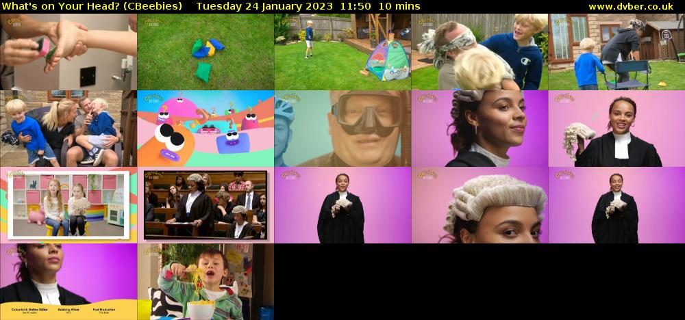 What's on Your Head? (CBeebies) Tuesday 24 January 2023 11:50 - 12:00