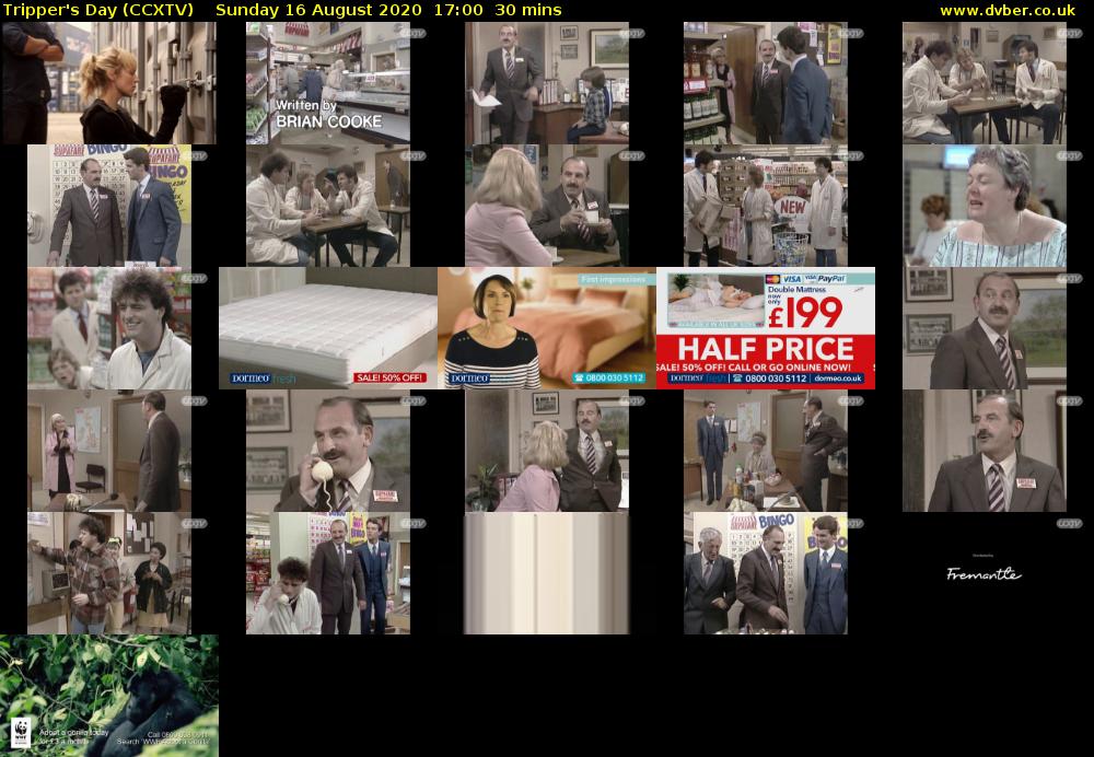Tripper's Day (CCXTV) Sunday 16 August 2020 17:00 - 17:30