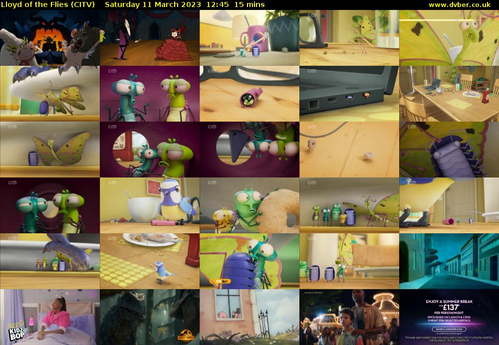 Lloyd of the Flies (CITV) Saturday 11 March 2023 12:45 - 13:00